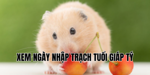 xem ngày nhập trạch tuổi giáp tý