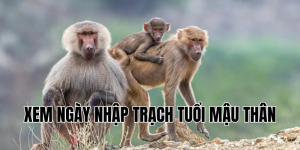 xem ngày nhập trạch tuổi mậu thân