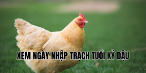 xem ngày nhập trạch tuổi kỷ dậu