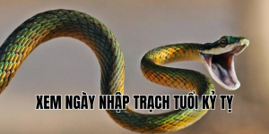 xem ngày nhập trạch tuổi kỷ tỵ
