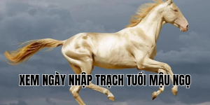xem ngày nhập trạch tuổi mậu ngọ