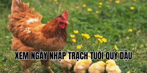 xem ngày nhập trạch tuổi quý dậu