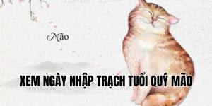xem ngày nhập trạch tuổi quý mão