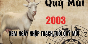xem ngày nhập trạch tuổi quý mùi